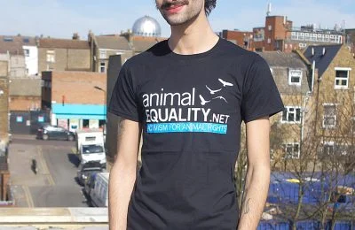 Todo Lo Que Necesitas Saber Sobre La Impresión De Camisetas-1