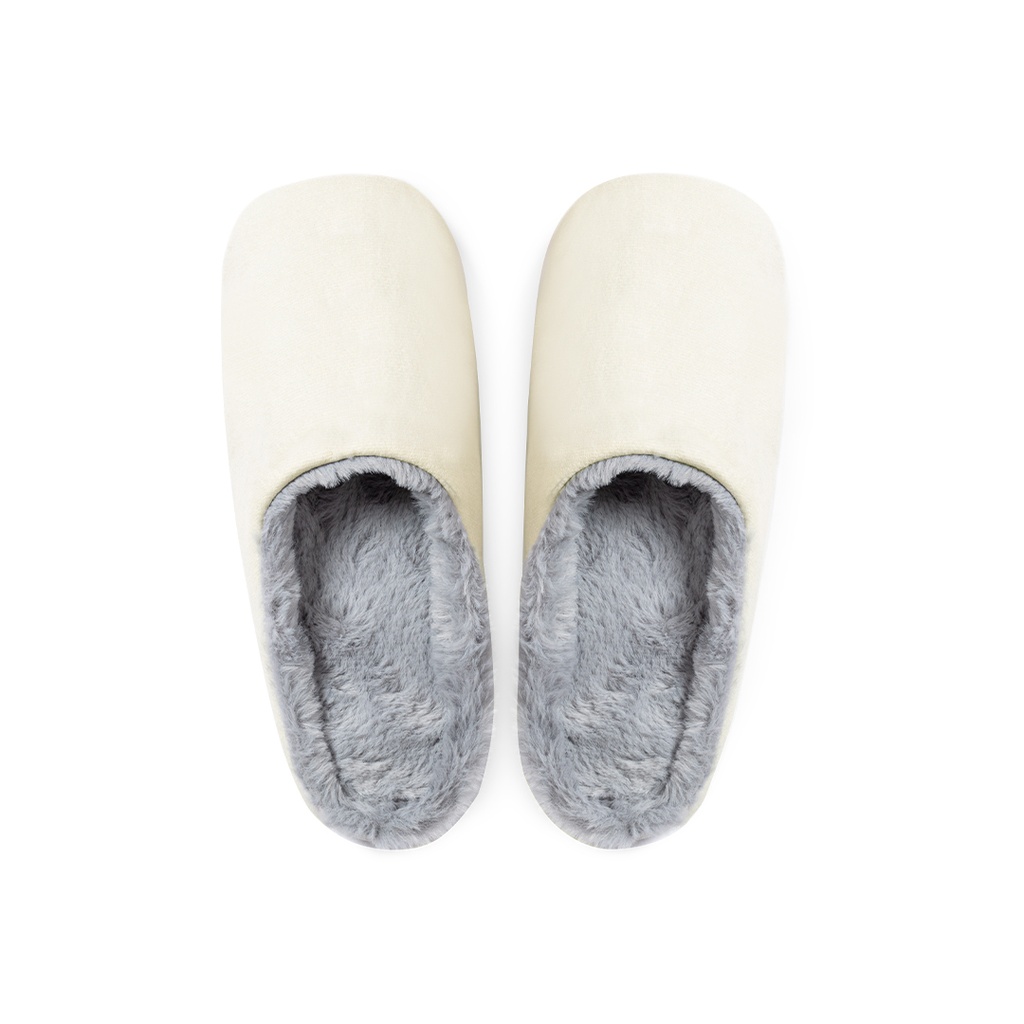 Coulter Zapatillas