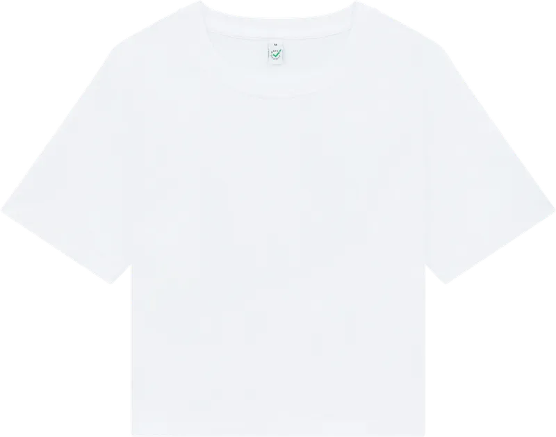 Camiseta Boxy Earth Positive Premium