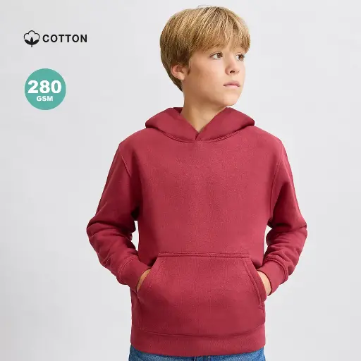 Sudadera Niño Draco 