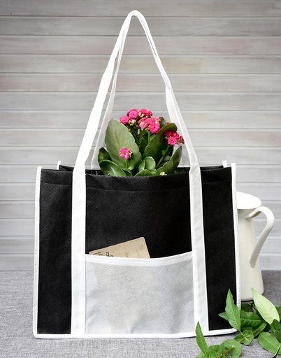 Bolsa
