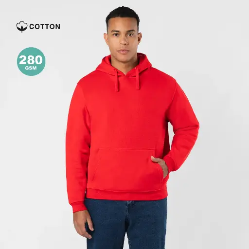 [21953] Sudadera Adulto Draco
