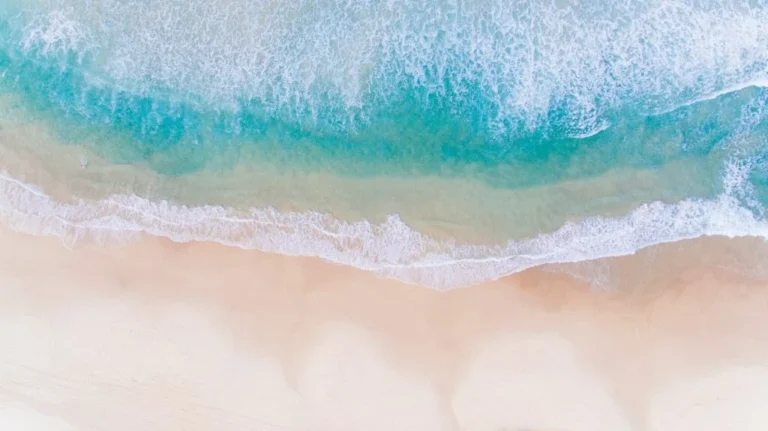 9 artículos de playa imprescindibles para llevar en sus vacaciones de verano